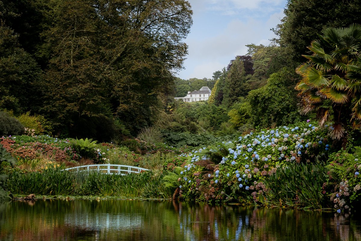 Daniel Dayment tweet media