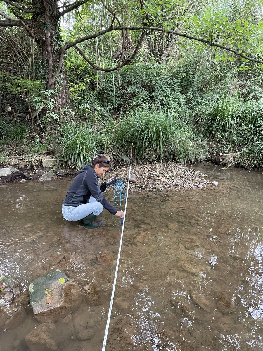 Anna Menció (@annamencio) on Twitter photo Aquesta setmana hem continuat fent el segon mostreig a la conca del Brugent pel projecte <a href="/Treasure_W4All/">Treasure_Water4All</a> . L’època seca hi és evident…
<a href="/Water4AllEU/">Water4All Partnership - EU</a> <a href="/GEOCAMB_UdG/">GEOCAMB_UdG</a> Aquesta setmana hem continuat fent el segon mostreig a la conca del Brugent pel projecte <a href="/Treasure_W4All/">Treasure_Water4All</a> . L’època seca hi és evident…
<a href="/Water4AllEU/">Water4All Partnership - EU</a> <a href="/GEOCAMB_UdG/">GEOCAMB_UdG</a>