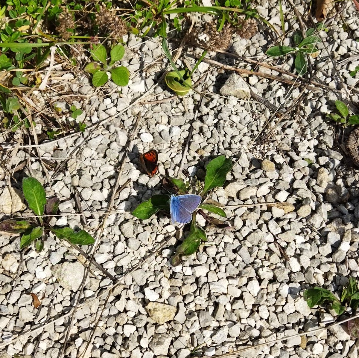 #NouvellePhotoDeProfil