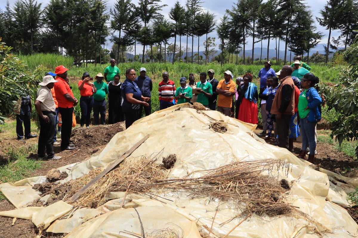 emalidca_'s tweet photo. We recently participated in an exchange visit to Nyeri for the Lishe Bora na Mama Silage Project, aimed at fostering cross-learning among farmers on the innovative Mama Silage Technology for effective fodder storage @ChildFundKenya
@HandinHandEA https://t.co/4Yf6N0Ynjf