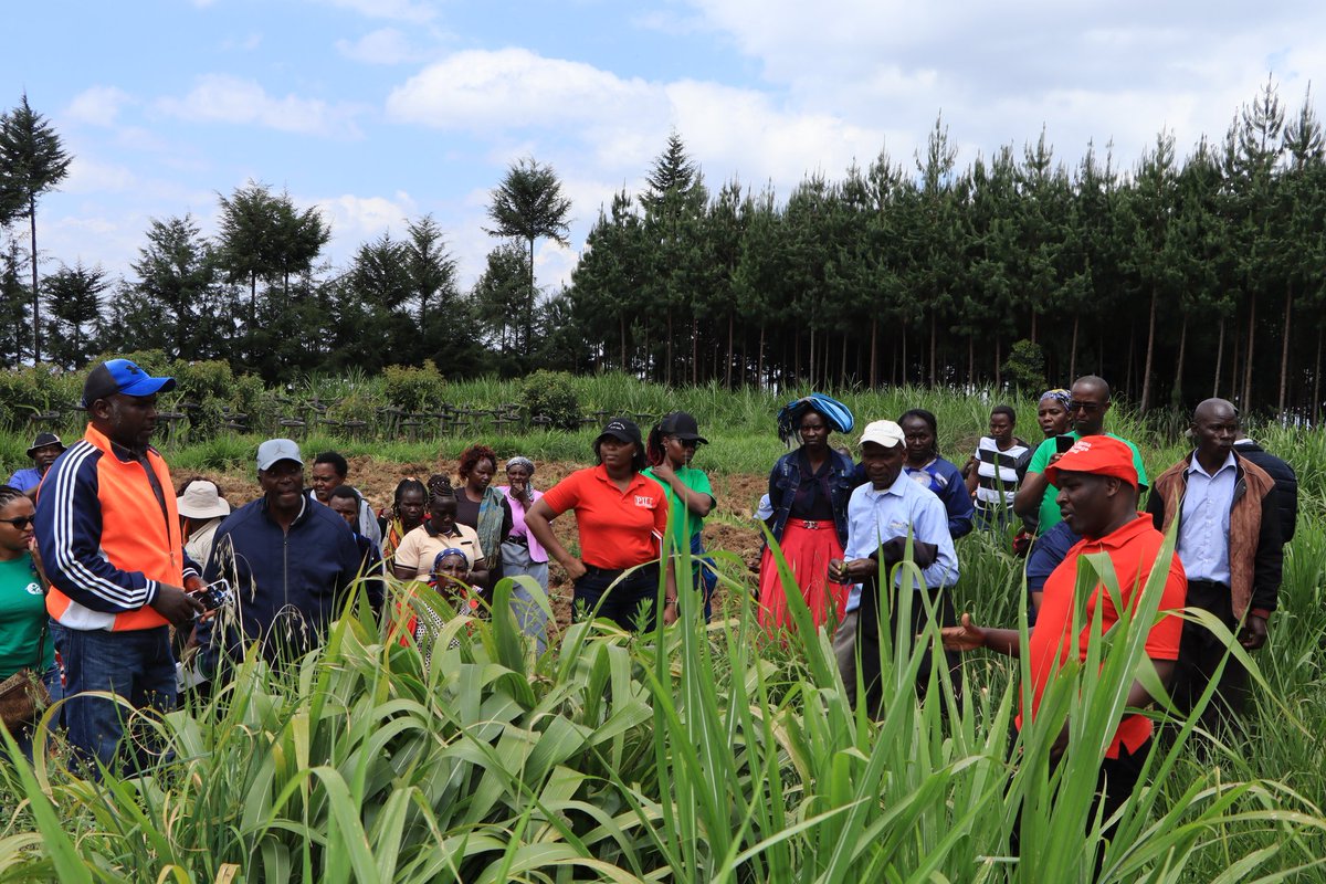 emalidca_'s tweet photo. We recently participated in an exchange visit to Nyeri for the Lishe Bora na Mama Silage Project, aimed at fostering cross-learning among farmers on the innovative Mama Silage Technology for effective fodder storage @ChildFundKenya
@HandinHandEA https://t.co/4Yf6N0Ynjf