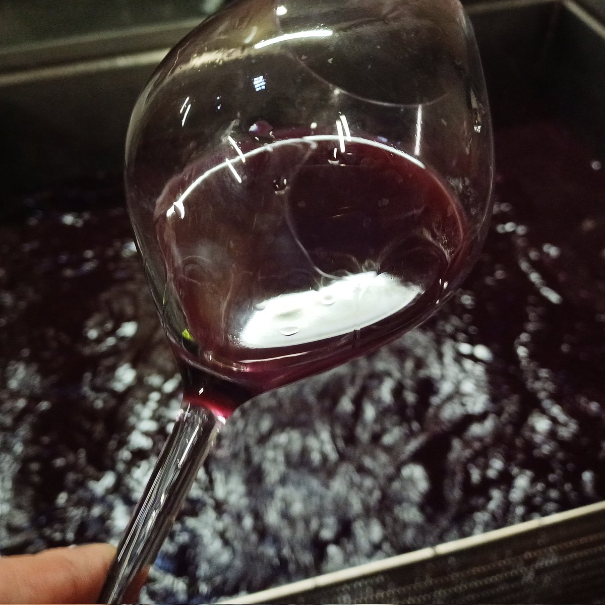 ✔️Goûter... Goûter, goûter le Vin... Jusqu'à ce qu'il nous ressemble avec son air de Famille.
#Vinification #Vigneron