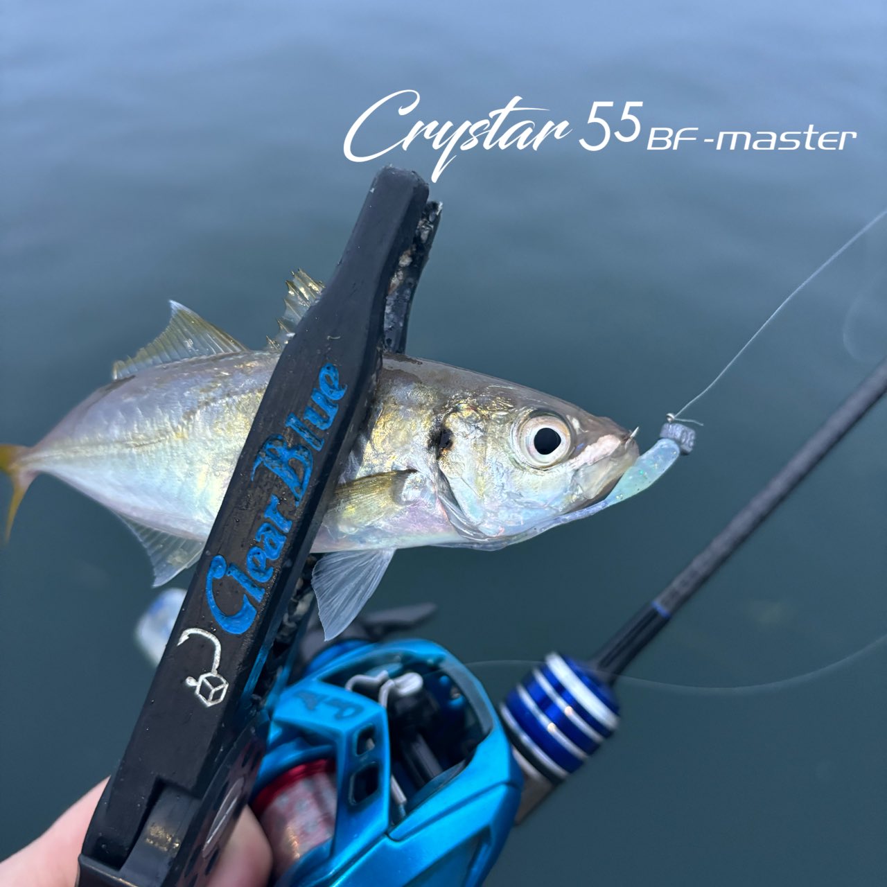 クリアブルー クリスター55bfマスター 【公式通販】