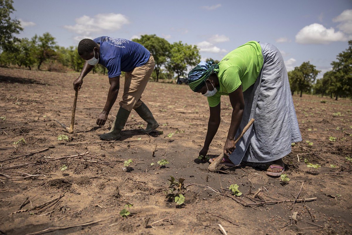 The #security of populations must be the priority of civil society actors in #ClimateAction ! 

Climate resilience = #Protecting populations 
.
.
.

#ClimateJustice 
#JustTransition24  
<a href="/vanessa_vash/">Vanessa Nakate</a> #RiseupMovement