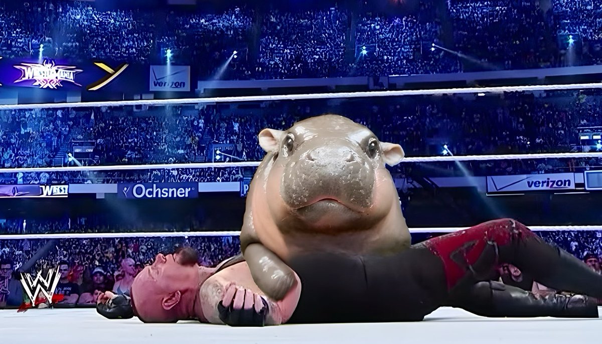 Cultaholic's tweet photo. The streak is over. 

credit: @RiotGrlErin https://t.co/Od90tqzb6f