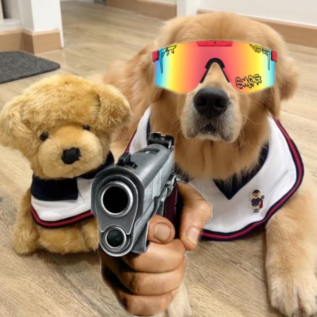 Mystral_777's tweet photo. @0xmidjet #JOOMMENG is the ticker, famous dog in thailand, moodeng is from thailand im seeing a pattern https://t.co/cwagz30zpp