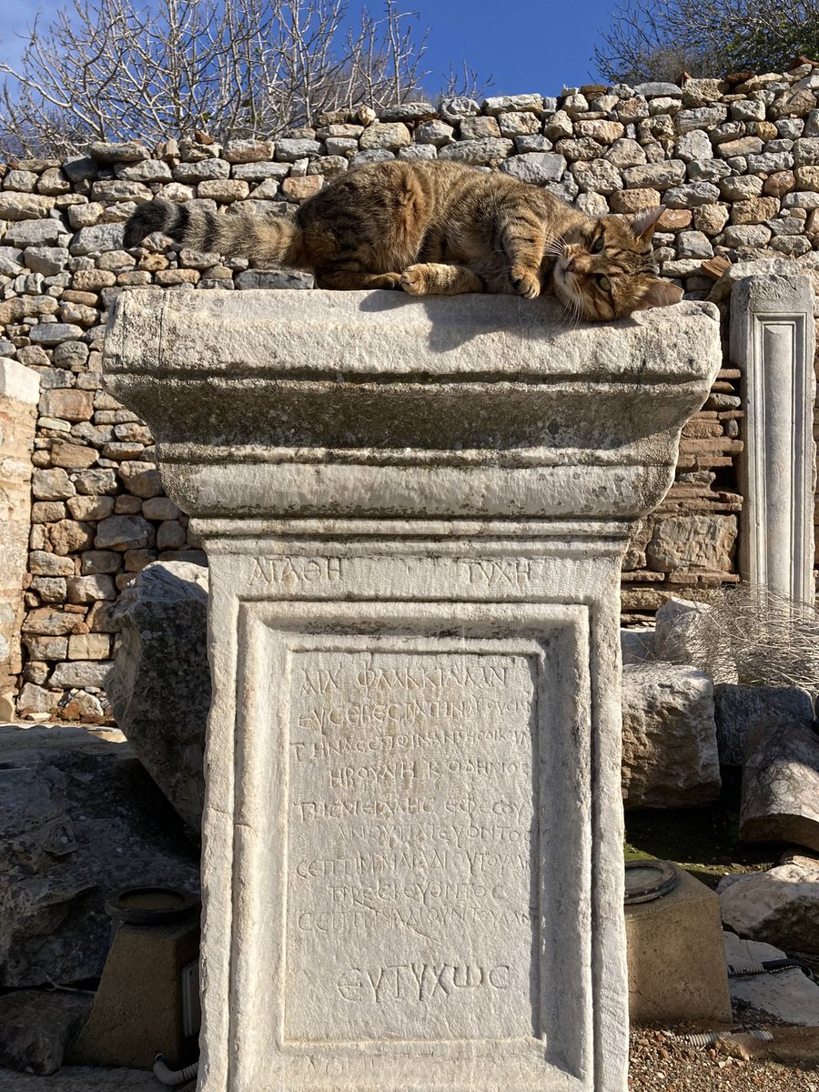 mrpyrz's tweet photo. 25-29 Ekim’de Didyma-Miletos-Ephesos-Priene programımız kesin olarak çıkıyor. 
Peki ne yapacağız, gündüz ufak yürüyüşler yaparak Hellen ve Roma Tarihi 101 tadında dersler yapacağız; epigrafi konuşup yazıtlara bakacağız, Hellen Edebiyatı konuşup edebiyat olmadan tarih konuşulamayacağını göreceğiz. 
Derslerimiz bitince de şöyle mükellef bir sofra kurup meze olarak da sohbetimizi ekleyeceğiz. 🧭 🥾🧗🏻🏛️🍷 🍸 ☕️ 🥤 🍽️ 

Zamanı olanı bekleriz!