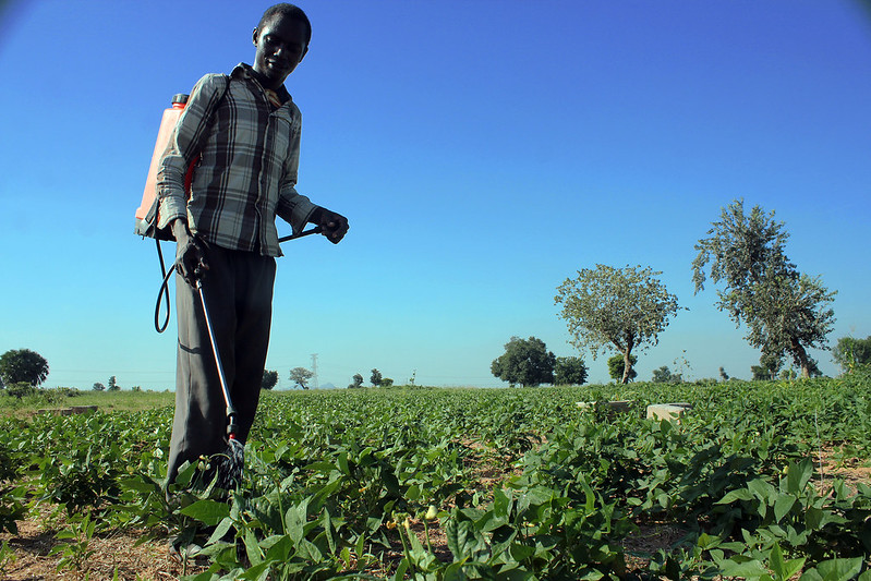 IFPRI (@ifpri) on Twitter photo Does #conflict-driven internal #displacement influence demand for agricultural inputs? Read our new blog exploring evidence from #Nigeria.
<a href="/CGIAR/">CGIAR</a> #FCMinitiative <a href="/noradno/">Norad</a> #fragility #migration <a href="/JeffBloem/">Jeffrey Bloem</a> <a href="/A_Mulubrhan/">Mulubrhan Amare</a> <a href="/ambler_kate/">Kate Ambler</a> <a href="/TemilBam/">Tems</a> <a href="/rewasmisra/">Rewa Misra</a> <a href="/kkosec/">Katrina Kosec</a> <a href="/IFPRI_Africa/">IFPRI_Africa</a> Does #conflict-driven internal #displacement influence demand for agricultural inputs? Read our new blog exploring evidence from #Nigeria.
<a href="/CGIAR/">CGIAR</a> #FCMinitiative <a href="/noradno/">Norad</a> #fragility #migration <a href="/JeffBloem/">Jeffrey Bloem</a> <a href="/A_Mulubrhan/">Mulubrhan Amare</a> <a href="/ambler_kate/">Kate Ambler</a> <a href="/TemilBam/">Tems</a> <a href="/rewasmisra/">Rewa Misra</a> <a href="/kkosec/">Katrina Kosec</a> <a href="/IFPRI_Africa/">IFPRI_Africa</a>
