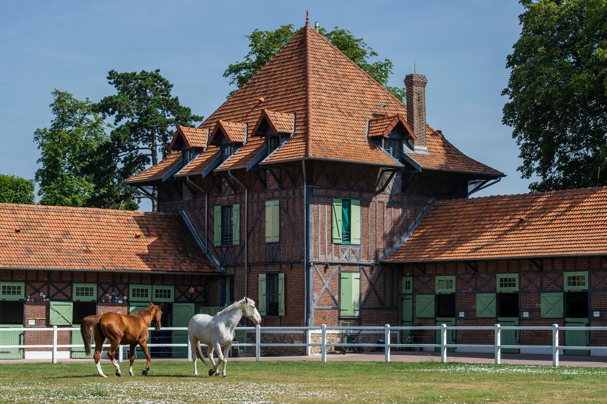 #JournéeMondialeDuTourisme 😎 Une belle occasion pour (re)découvrir le patrimoine et la richesse culturelle des Hauts-de-Seine entre 🏰 musées et châteaux, 🌳 forêts et étangs, ⛵️ bords de Seine et lieux artistiques et 🐎 sportifs 🤩
📸CD92
#DestinationHautsDeSeine