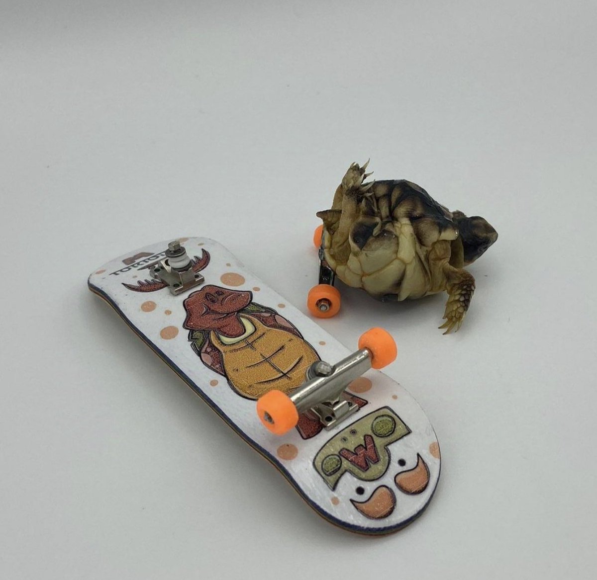 @ZeusCrypto_ Lock in on $Helix zeus.
Solana need a mooner turtle.