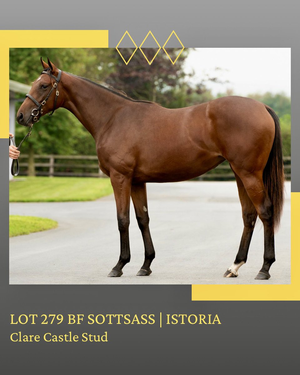 ClareCastleStud's tweet photo. Lot 279 BF Sottsass - Istoria
@Goffs1866 #OrbySale 
A quality easy moving filly by Prix de l’Arc winner. 

#ClareCastleStud
Small Draft Huge Success https://t.co/NELBMtZ0mx