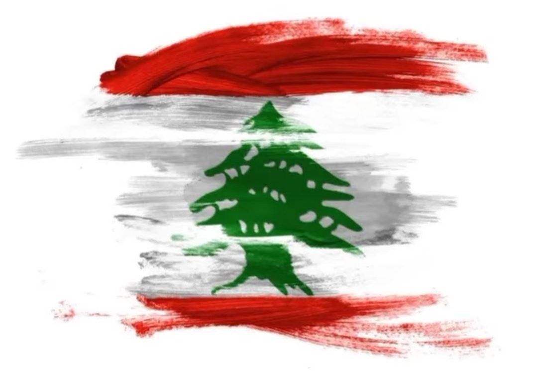 Souad E. Gharios tweet media