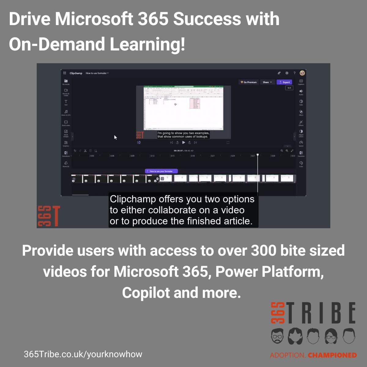 365Tribe tweet media