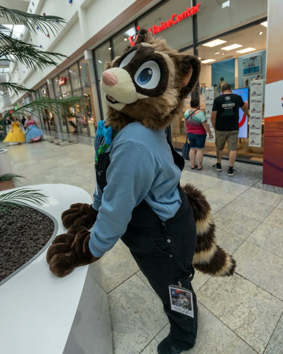 Jacky_Meow's tweet photo. Herbert wishes you all a happy #fursuitfriday ! 🦝🙌

✂️: @oakleycreations
📷: @dexter_skull

#furry #fursuit https://t.co/NTd1hj4b5J