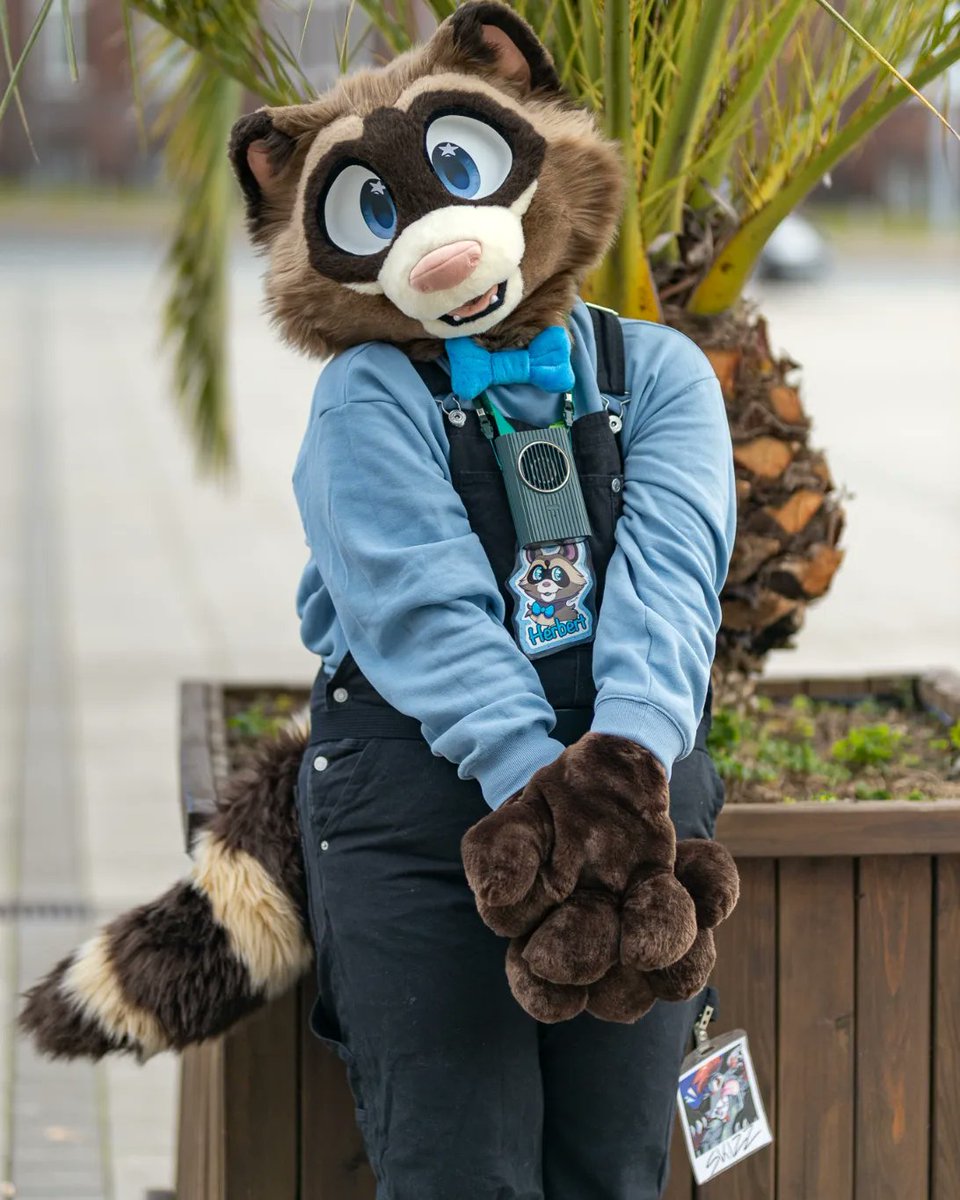Herbert wishes you all a happy #fursuitfriday ! 🦝🙌

✂️: <a href="/oakleycreations/">Oakley’s Creations 🔜 LVFC, FWA</a>
📷: <a href="/dexter_skull/">Dexter_Skull</a>

#furry #fursuit