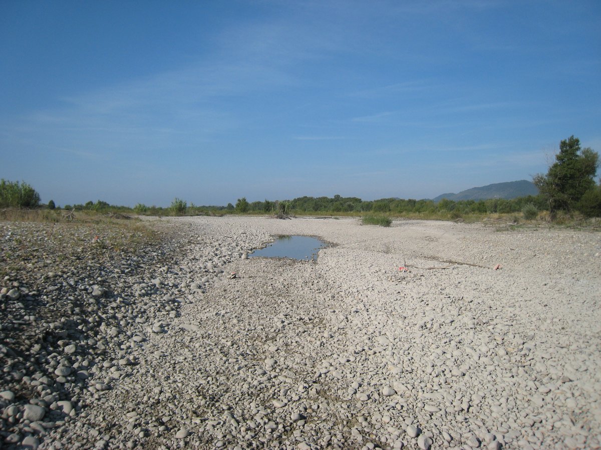 INRAE Lyon-Grenoble Auvergne-Rhône-Alpes (@inrae_lyon_gre) on Twitter photo 💧 Comment le changement climatique menace-t-il les réseaux fluviaux en voie d'assèchement ?
<a href="/DRYvER_H2020/">Drying River Networks and Climate Change</a> (projet <a href="/HorizonEU/">Horizon Europe 🇪🇺</a>) organisait cette semaine, à #INRAE_Lyon_Gre, sa conférence finale.
L’occasion d’évoquer les passionnantes recherches effectuées dans le cadre de ce 💧 Comment le changement climatique menace-t-il les réseaux fluviaux en voie d'assèchement ?
<a href="/DRYvER_H2020/">Drying River Networks and Climate Change</a> (projet <a href="/HorizonEU/">Horizon Europe 🇪🇺</a>) organisait cette semaine, à #INRAE_Lyon_Gre, sa conférence finale.
L’occasion d’évoquer les passionnantes recherches effectuées dans le cadre de ce