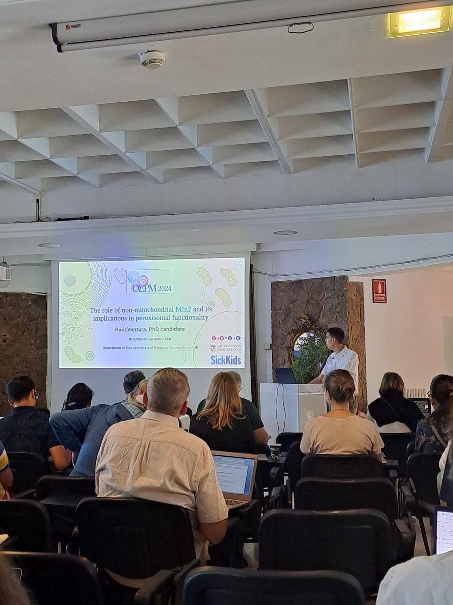 Hernández-Alvarez LAB (@mha_laboratory) on Twitter photo We proud of the excellent presentation of our PhD student <a href="/raulventura99/">Raúl Ventura Sánchez</a> at the OEPM meeting where he presented his exciting data about the role of peroxisomes and metabolism!! <a href="/IBUB_UB/">IBUB-UB</a> <a href="/BQBiomedMolUB/">Biochemistry & Molecular Biomedicine UB</a> <a href="/BiologiaUB/">Facultat de Biologia UB</a> <a href="/Maribel_h_a/">Maribel Hernandez Alvarez</a> We proud of the excellent presentation of our PhD student <a href="/raulventura99/">Raúl Ventura Sánchez</a> at the OEPM meeting where he presented his exciting data about the role of peroxisomes and metabolism!! <a href="/IBUB_UB/">IBUB-UB</a> <a href="/BQBiomedMolUB/">Biochemistry & Molecular Biomedicine UB</a> <a href="/BiologiaUB/">Facultat de Biologia UB</a> <a href="/Maribel_h_a/">Maribel Hernandez Alvarez</a>