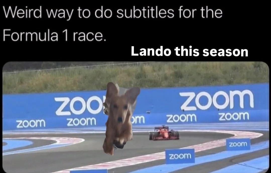 AliceJo_'s tweet photo. Lando this season!! ❤️‍🔥 🏎 @f1 @LandoNorris @LN4 @McLarenF1 #landonorris #mclaren #f1 #Formula1 #puppy https://t.co/HjWqmzakuX