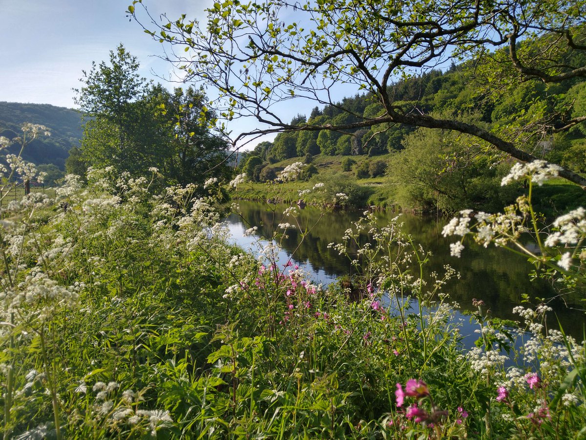 NatureCalling tweet media