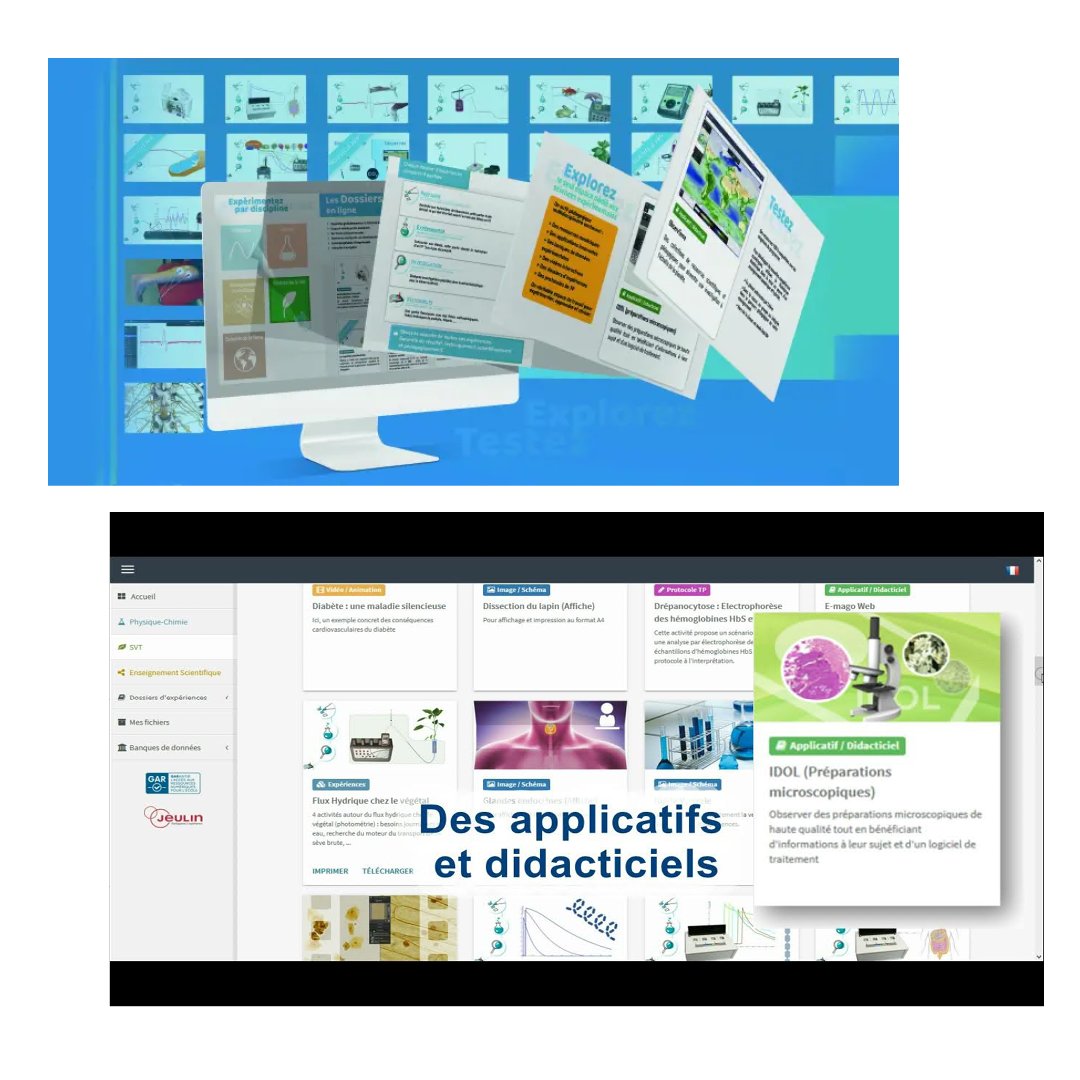 🗞L'Actu des Éditeurs I Jeulin

🌱Découvrez @jeulin_fr, une plateforme intuitive pour développer l'apprentissage des sciences. Retrouvez une banque de ressources numériques scientifiques complète

🔗swll.to/BDCWC 

#numeriqueeducatif #sciences #ressources #jeulin