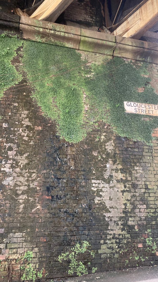 manchesterbeeco's tweet image. Near all the shiny things   #manchester 🐝