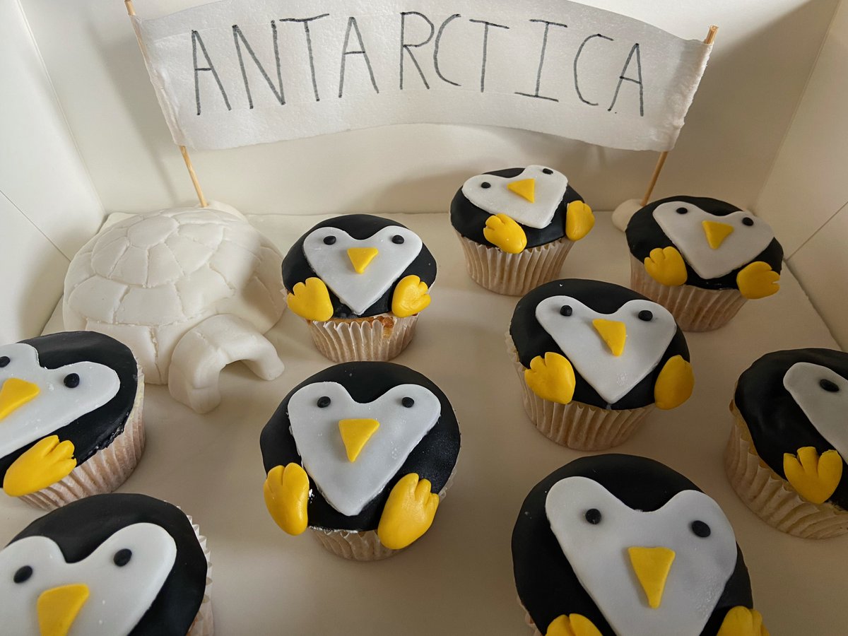 International Bake Off 2024 Joint 2nd place goes to both Barney with "On your marks....get set...bake!" and Stanley with "Antarctica". Very precise and beautifully decorated. Well done!