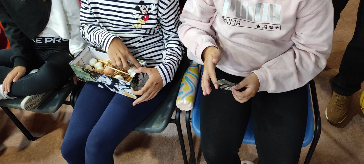 DelibesCeipNava's tweet photo. Ayer los alumnos del tercer ciclo recibieron una charla sobre aves, concretamente sobre aguiluchos. Es fundamental conocer la fauna local para aprender a respetarla y valorarla. Ha sido muy interesante. https://t.co/cq5IfKk9Pt