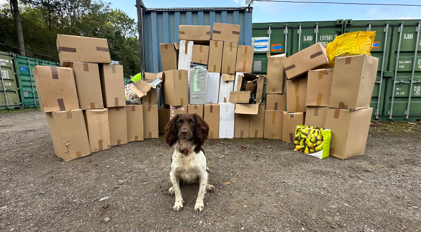 More details of the work we carried out last week with <a href="/StMatthewsWMP/">St. Matthew's Police</a> and <a href="/BWYK9/">B.W.Y Canine Ltd</a> seizing illegal tobacco and vapes worth approx £400,000
go.walsall.gov.uk/newsroom/illic…