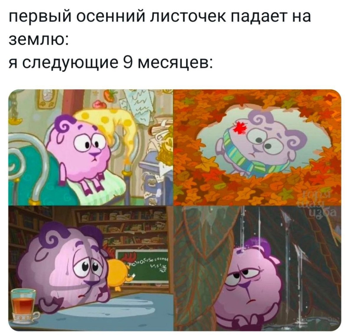 RussianMemesLtd's tweet photo. the first autumn leaf falls to the ground:
me for the next 9 month: https://t.co/1zcDEuCLRu