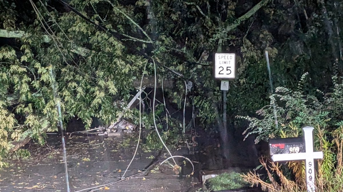 STORM DAMAGE: Downed tree takes out power lines on <a href="/BrookhavenGaPD/">Brookhaven Police</a> Carter Dr. Expect wide spread outages as #Helene moved through #atl Metro Area. <a href="/GeorgiaPower/">Georgia Power</a> crews working as hard as they can to restore service. Watch <a href="/GoodDayAtlanta/">Good Day Atlanta</a> and <a href="/FOX5StormTeam/">FOX 5 Storm Team</a> for latest conditions.