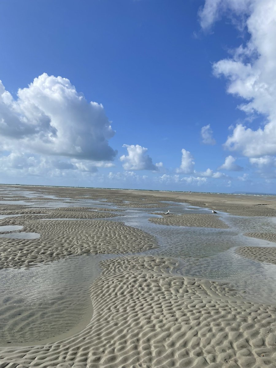 garduceltd's tweet photo. Throwback to sandy British shores during the summer. Sigh. All rain, rain, rain here in the UK now. Our summer projects are drawing to a close so we have some availability in run up to, dare I say it, Christmas..! content@garduce.com 

#writing #editing #freelanceravailability https://t.co/DlSFhDi0mt