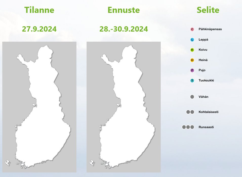 siitepolya's tweet photo. Sateet ja pohjoisesta puhaltavat ilmavirtaukset ovat puhdistaneet ilman tuoksukin siitepölystä, mikä varmasti ilahduttaa allergikkoja. Tuoksukin siitepölyä ei odoteta kulkeutuvan Suomeen myöskään lähipäivinä. #allergia #siitepöly #tuoksukki #syksy #sade https://t.co/Wv6X1k5BDw
