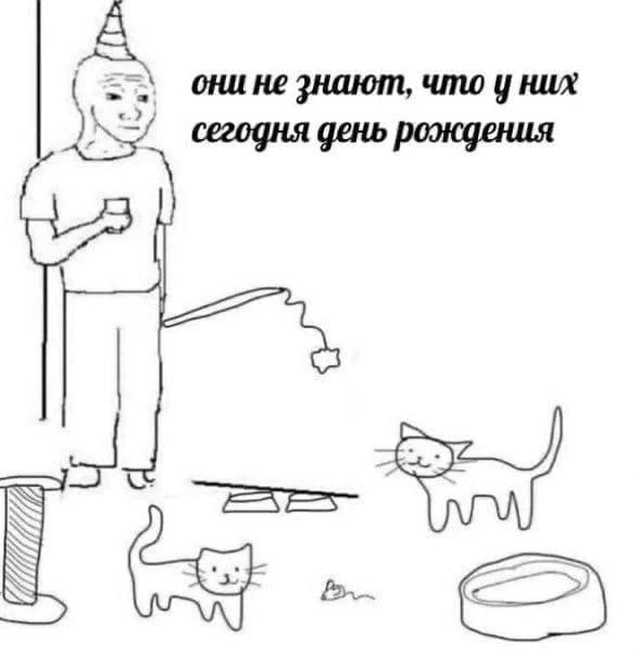 they don't know that they have a birthday today