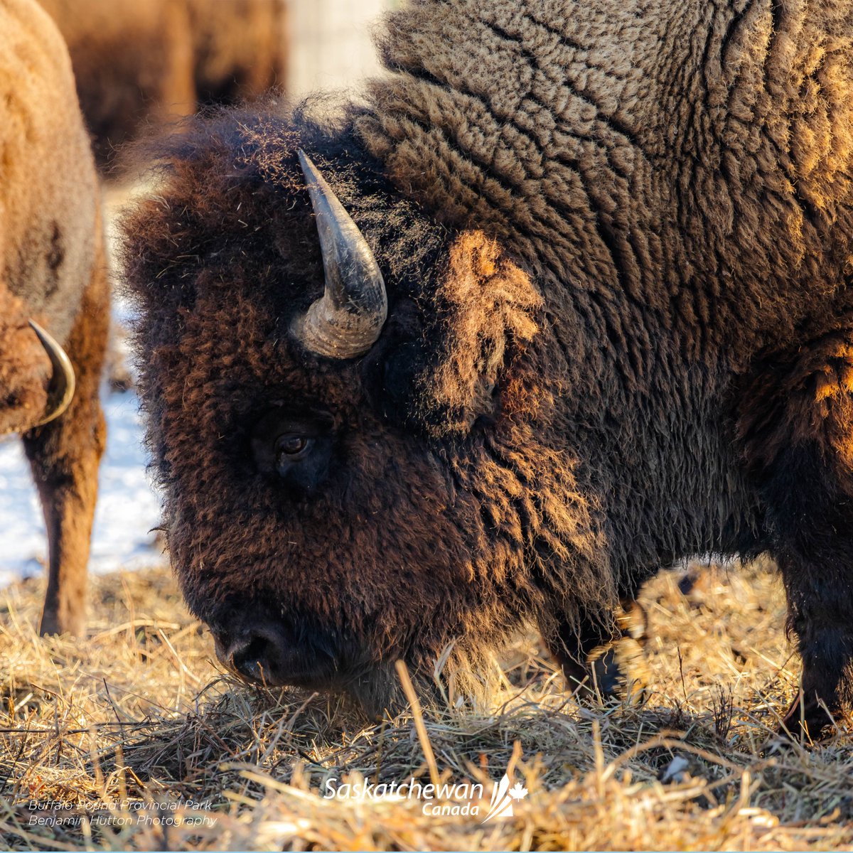 First Class Holidays tweet media