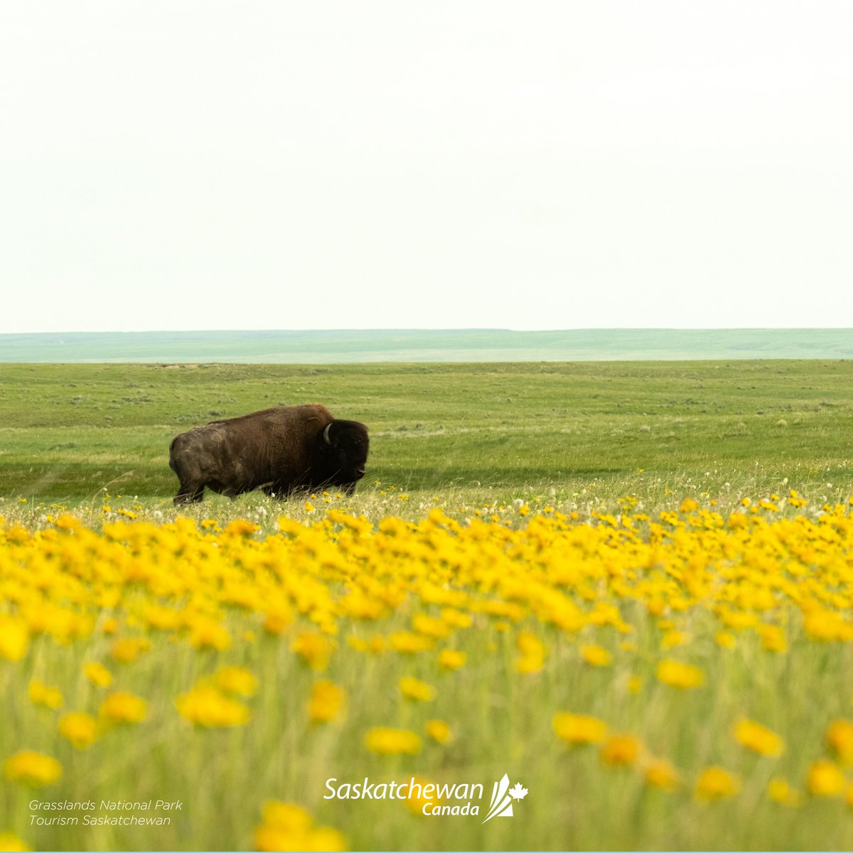 First Class Holidays tweet media