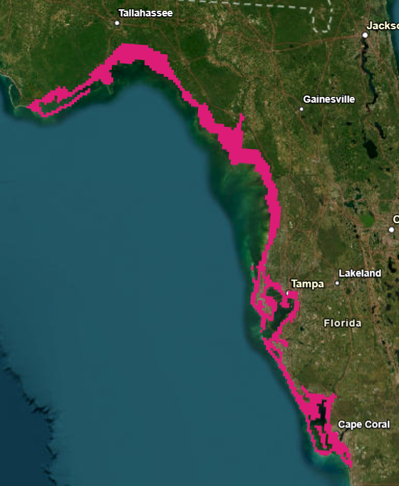 LimWeather's tweet photo. #StormSurgeWarning:#Franklincounty-#Leecounty,#Florida
#Wxtwitter #wxx #Tropicswx #Helene #HurricaneSeason2024 #HurricaneSeason #FLwx #HurricaneHelene #StormSurge #Hurricane #FortMyers,#CapeCoral,#Sarasota,#Tampa,#StPete,#SpringHill,#Cedarkey,#Clearwater,#Apalachicola https://t.co/slLZATv6bv
