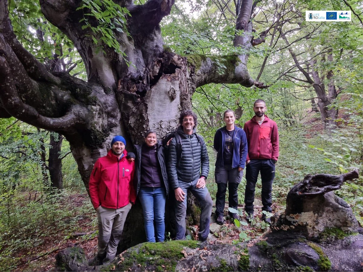 Last week we received guests from Italy. 
We had the opportunity to share our experience and exchange information with the team of Life SPAN Saproxylic Habitat Network (LIFE19 NAT/IT/000104). 
🇷🇴🪲🇮🇹
#nature #conservation #Together4Nature 
#LIFEROsalia #LIFENature #LIFEProgramme