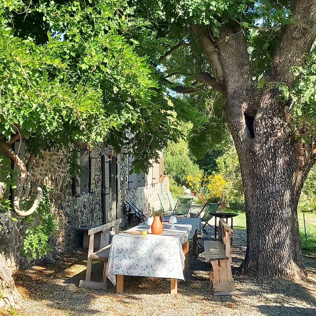 ORGANIC GOURMET tweet media