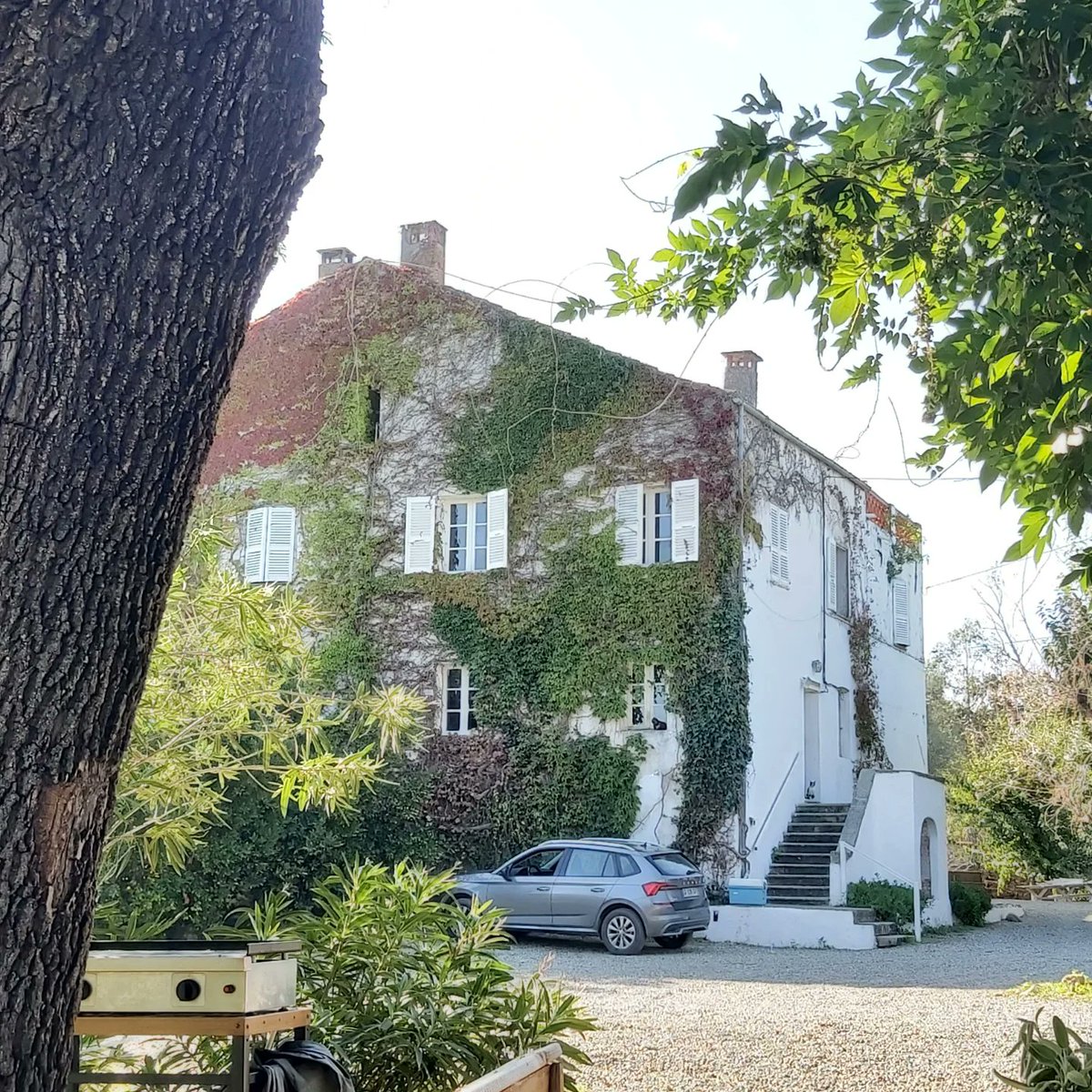 ORGANIC GOURMET tweet media