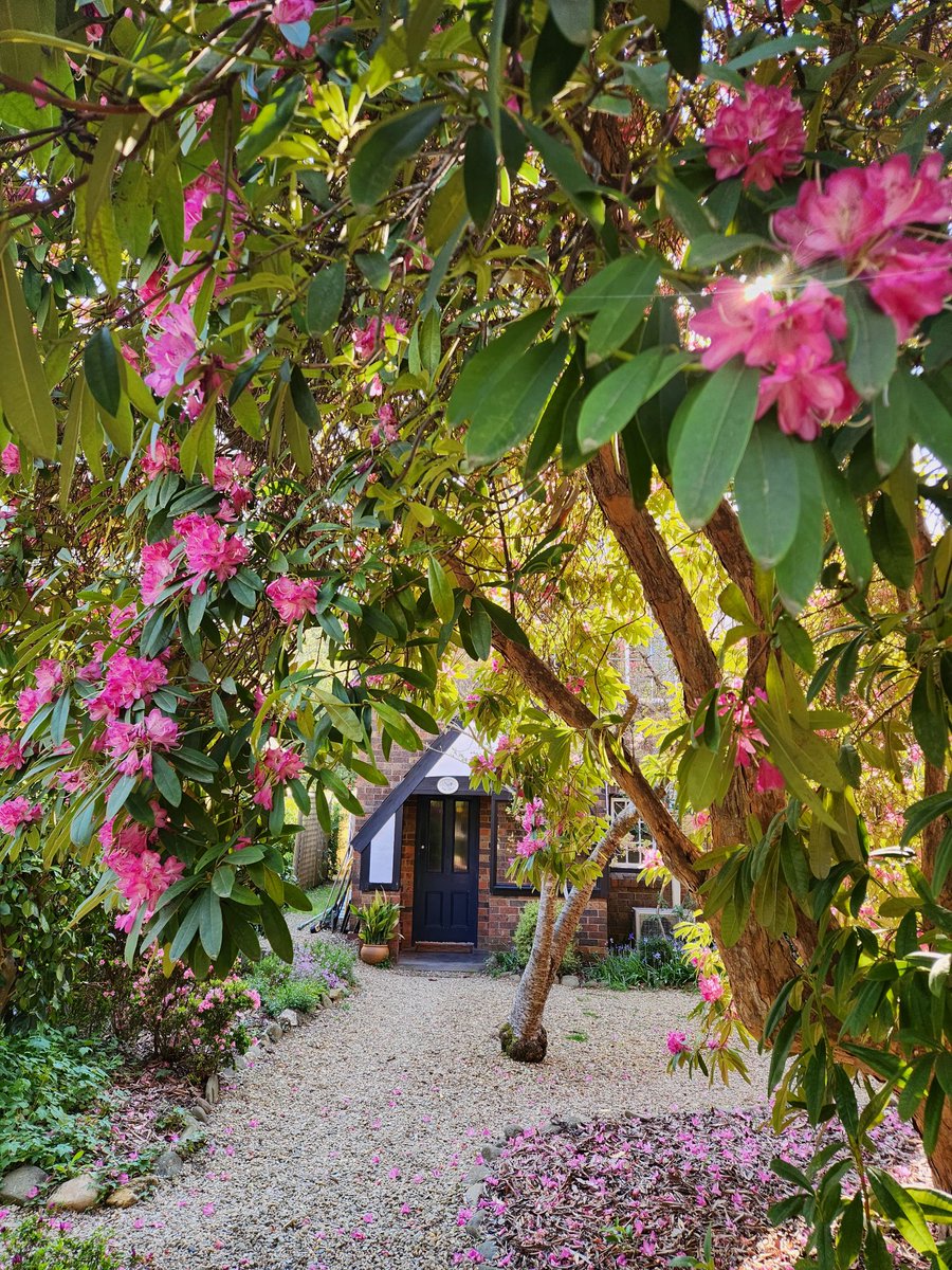 Long weekend road trip -> Euroa -> Rutherglen -> Bright