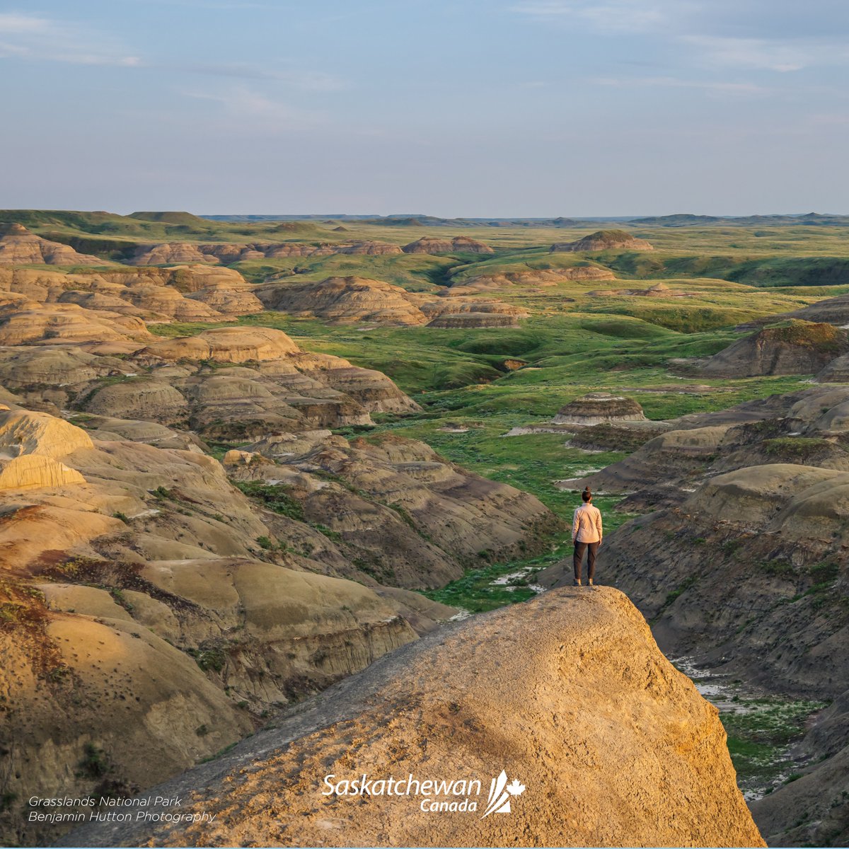 First Class Holidays tweet media