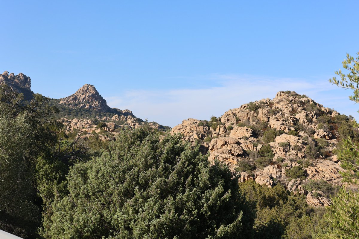 Celux01's tweet photo. LE DOLOMITI DELLA SARDEGNA
SAN PANTALEO un borgo della GALLURA, si presenta con questo originale spettacolo.
Le Torri di San Pantaleo e Punta Balbacanu, danno un aspetto dolomitico.
Le rocce di granito spuntando in tutta la zona da una macchia mediterranea che cresce rigogliosa. https://t.co/RXZzyk46B7