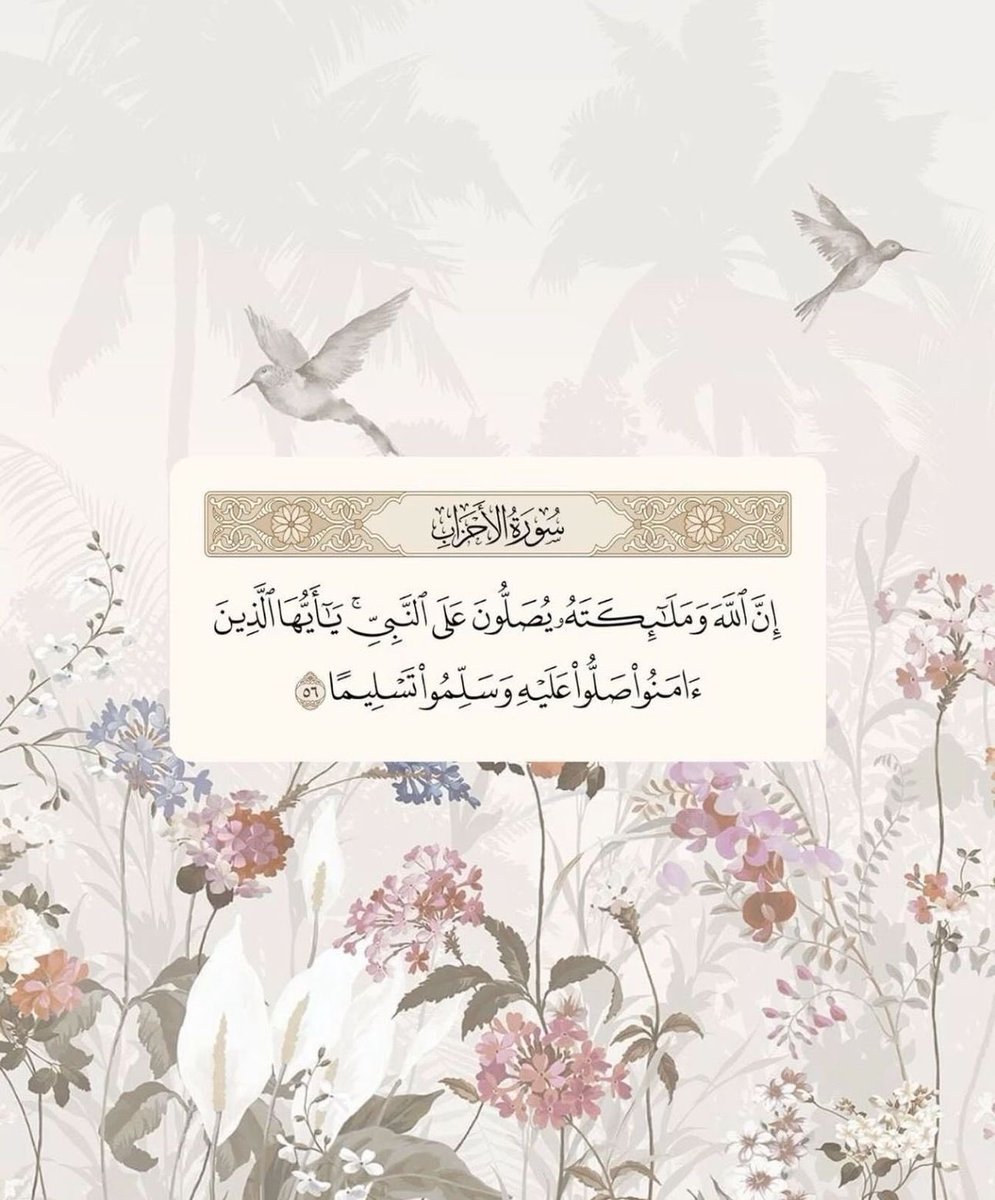 uae_464's tweet photo. https://t.co/xb8gV6WqUb