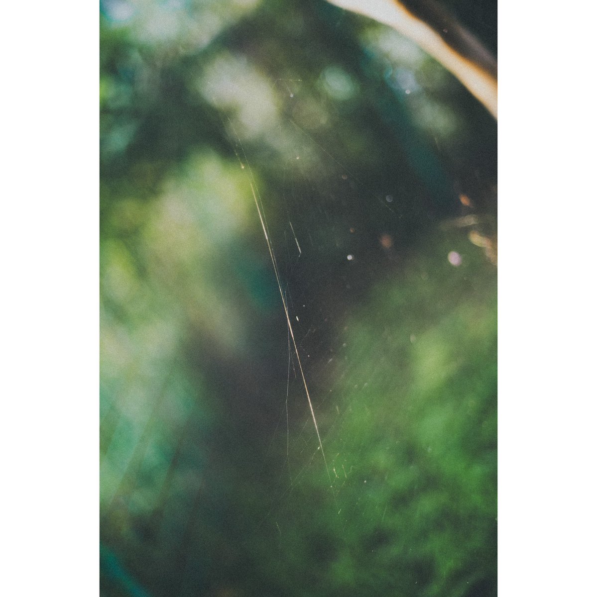 Mori (@cooom_1525) on Twitter photo 