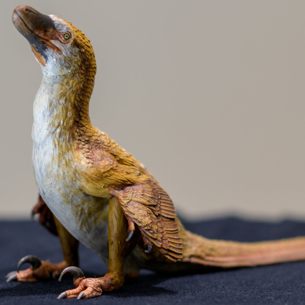 JedTaylorArtist's tweet image. A new hand-painted 1:10 Velociraptor model that will be available at #TetZooCon tomorrow.