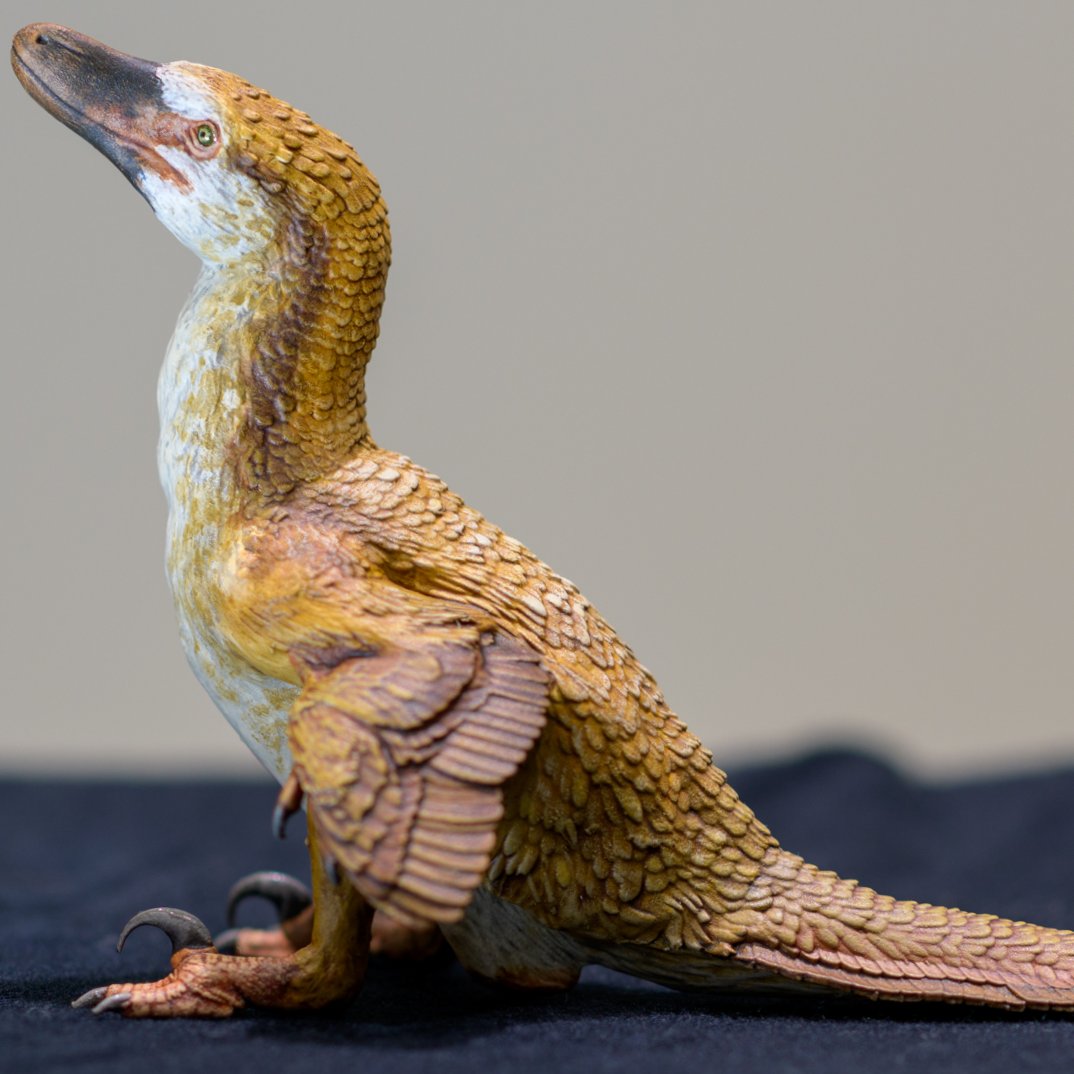 JedTaylorArtist's tweet image. A new hand-painted 1:10 Velociraptor model that will be available at #TetZooCon tomorrow.