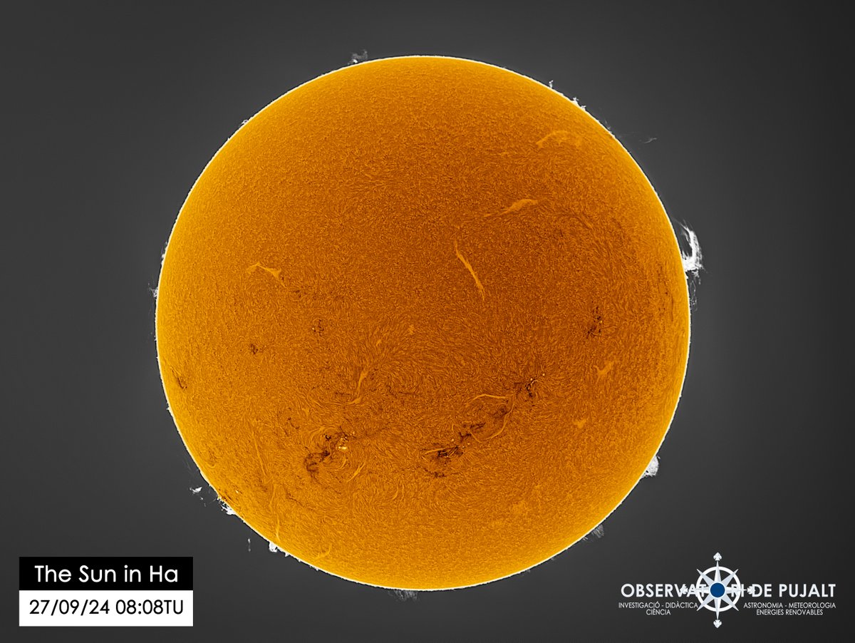 AstroMeteo_'s tweet photo. The Sun this morning, with regular seeing, from @Observatori de Pujalt (#Barcelona)
#astronomy #Astrophotography #space_weather #solaractivity https://t.co/co2UVWs49y