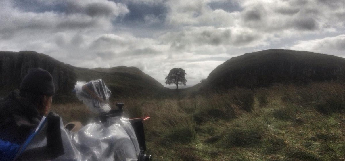 I hadn't realised that when the tree was felled last year it was almost 10 years to the day since we were filming an Episode of Vera around Sycamore Gap. This photo was taken shooting series 3 or 4 in 2013. Still devastated we lost such a regional treasure. #SycamoreGap #Vera