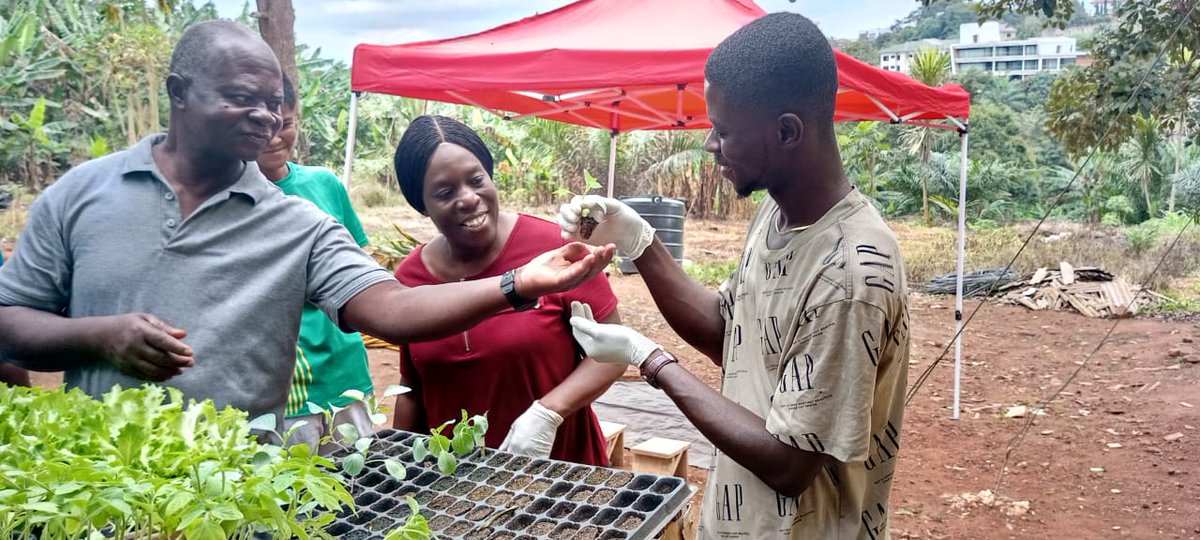 TechsheltaI's tweet image. Our process have proven results over time.

Join our training programs and share in the fulfillment of when efforts and practices in farming produce the desired results.

#TSTI #learning #training #process #practices #efforts #results #farming #agriculture #produce
