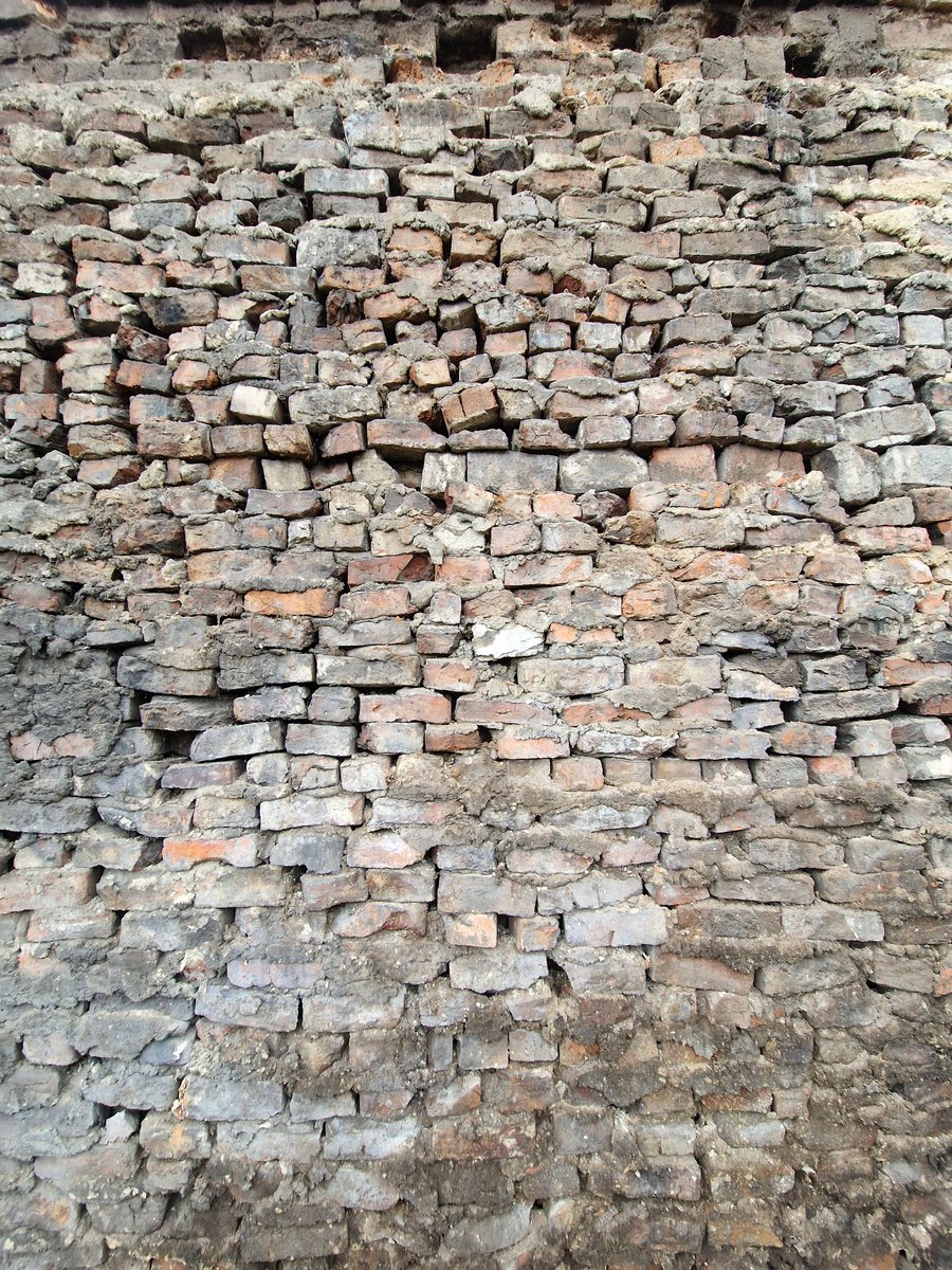 Tim Hatton tweet media